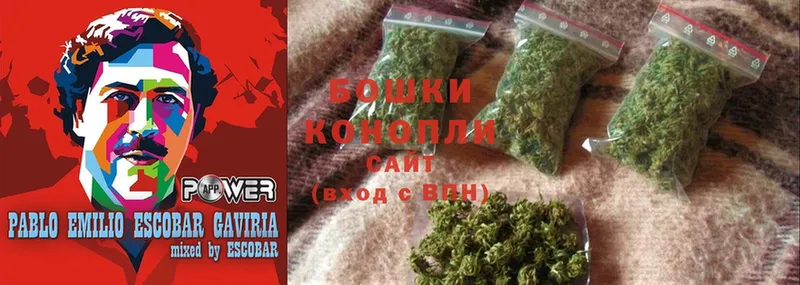 кракен как зайти  Асино  Бошки марихуана LSD WEED  где можно купить  